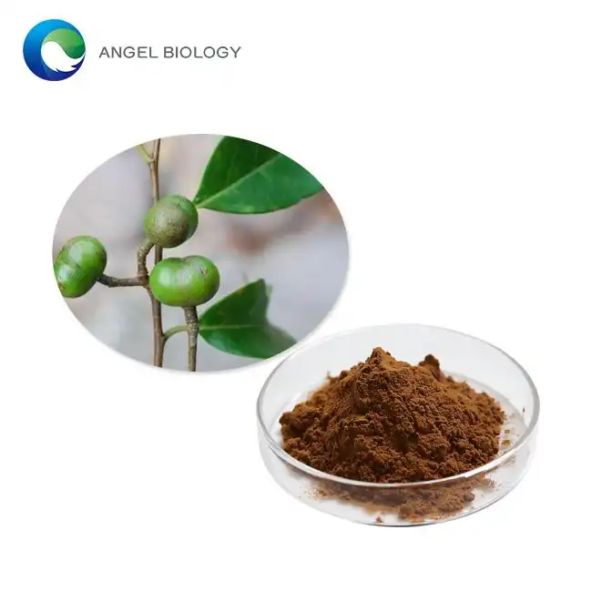What Are the Key Phytosterols in Pygeum Bark Extract Powder?